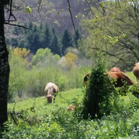 Bed and Breakfast Combecave Vabre-Tizac Екстер'єр фото