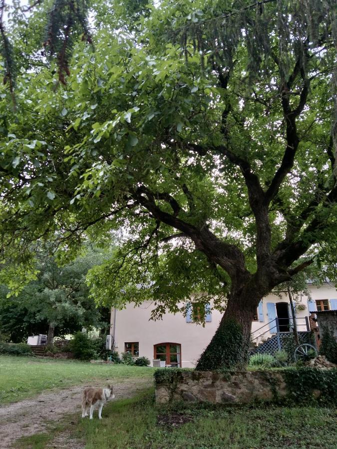 Bed and Breakfast Combecave Vabre-Tizac Екстер'єр фото